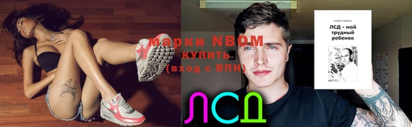 PSILOCYBIN Аркадак