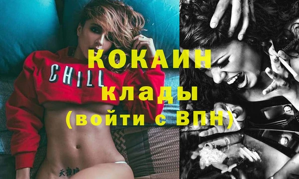 PSILOCYBIN Аркадак