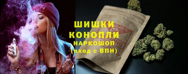 PSILOCYBIN Аркадак