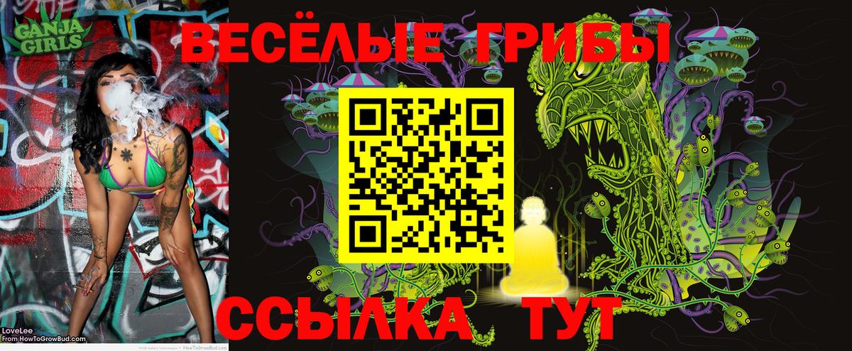 Галлюциногенные грибы Psilocybe  Псилоцибиновые грибы Psilocybe  Тара  Вход с VPN 
