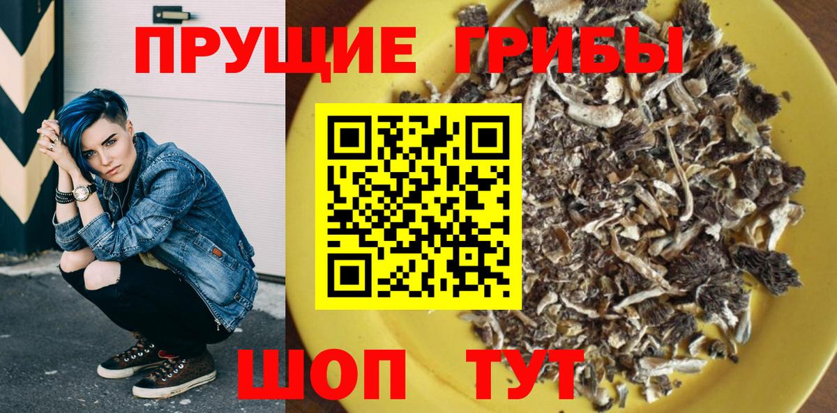 Галлюциногенные грибы Magic Shrooms Тара