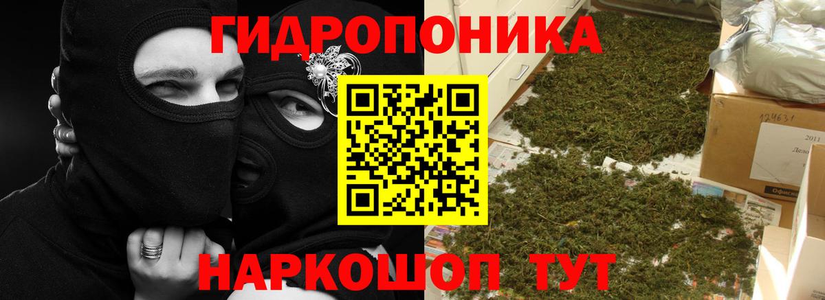 Тара  Бошки марихуана сатива  МАРИХУАНА SATIVA & INDICA  Конопля конопля  Вход с VPN 